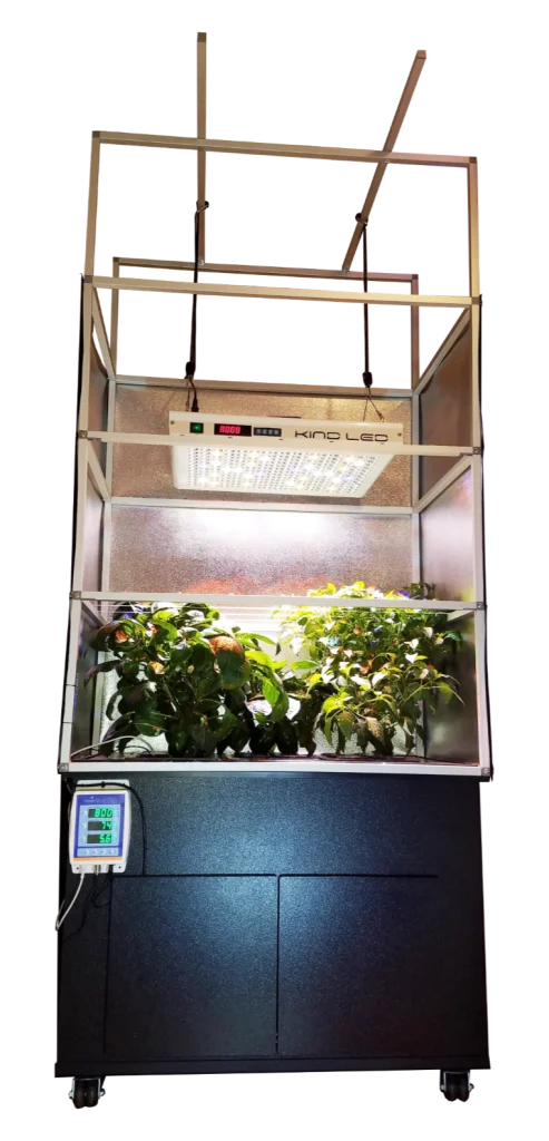 Benefits of Aeroponics