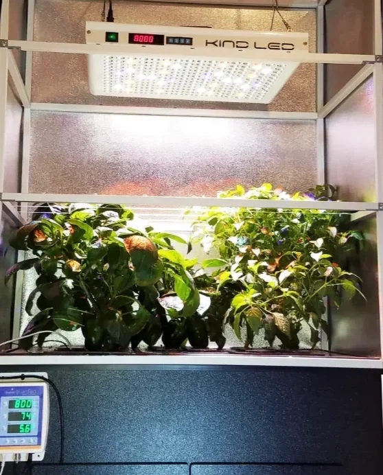 Benefits of Aeroponics