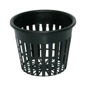3-standard-net-cup-24